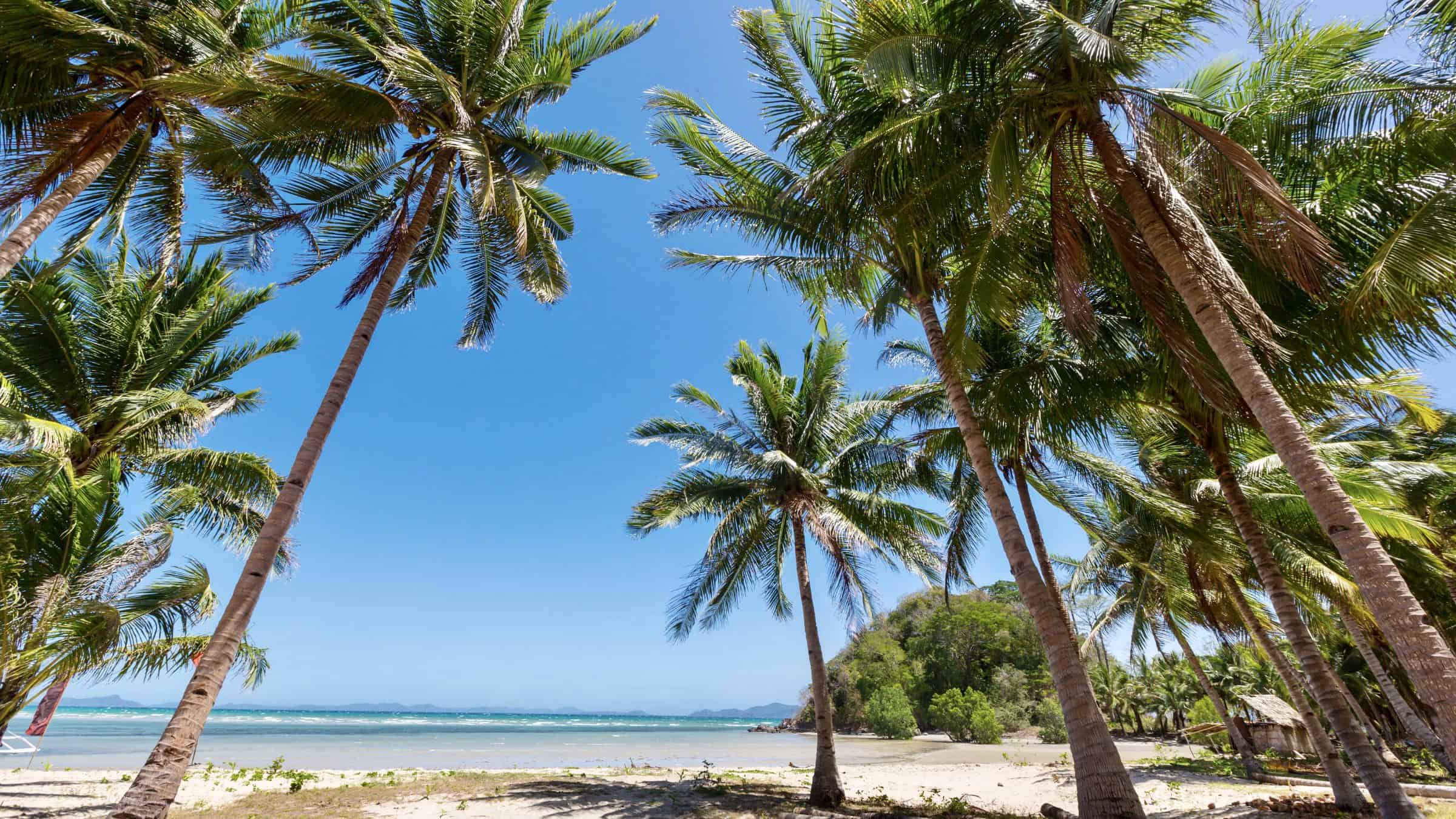 buy beachfront properties for sale in panama