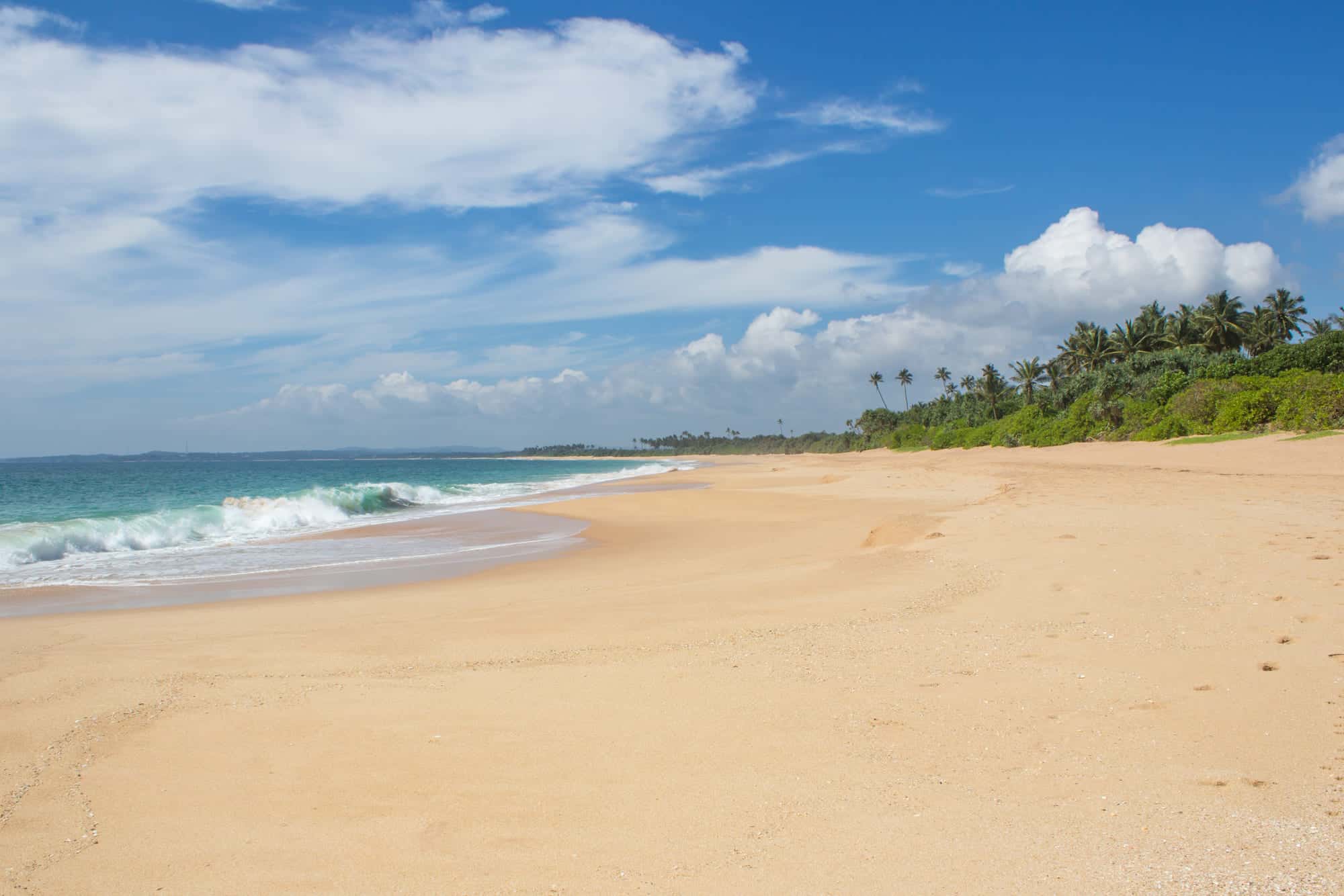 Invertir en Propiedades en Panama Beach: ¿Por qué ahora?