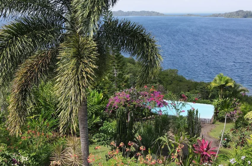 Bocas Bay Lodge Ocean Views13