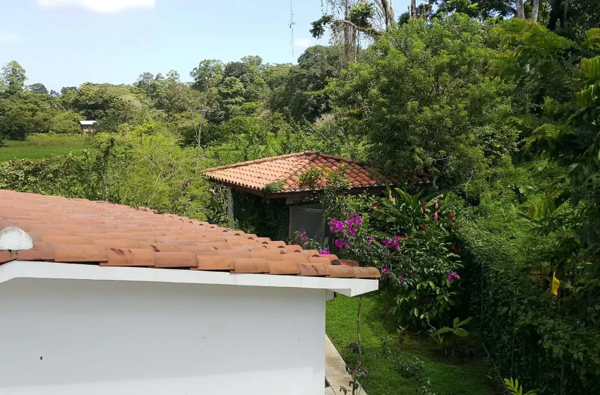 Roots_Real_estate_panama_Bocas_Luxury_home-23